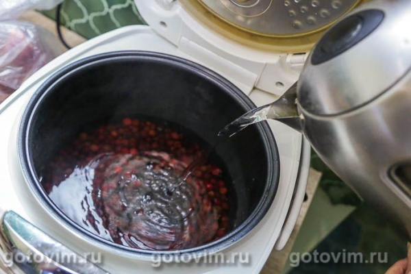 Компот из клюквы с яблоками в мультиварке Компот из клюквы с яблоками в мультиварке