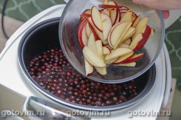 Компот из клюквы с яблоками в мультиварке Компот из клюквы с яблоками в мультиварке