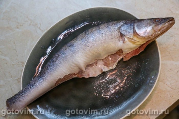 Судак с овощами и опятами Судак с овощами и опятами
