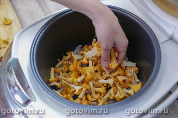 Лисички в сметане в мультиварке Лисички в сметане в мультиварке