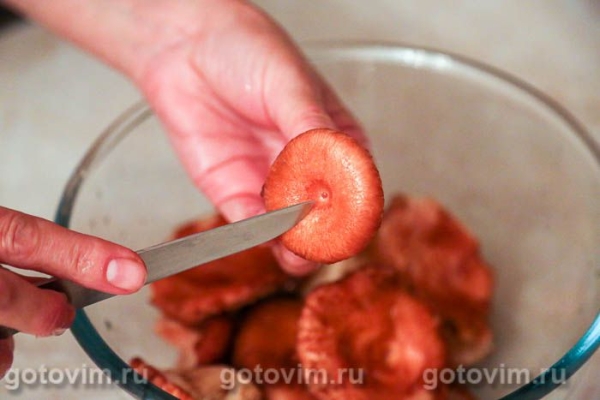 Соленые волнушки (горячим способом) Соленые волнушки (горячим способом)