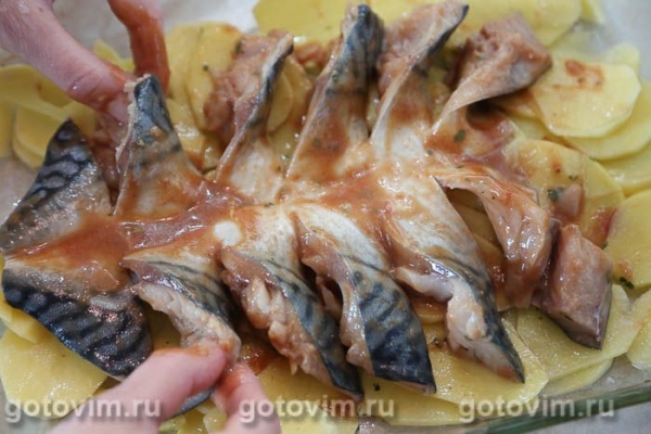 Скумбрия-ёлочка, запеченная в маринаде 